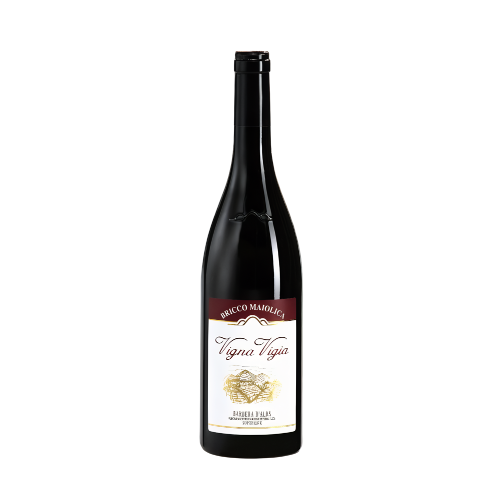 Bricco Maiolica, Barbera d'Alba Superiore Vigna Vigia 2020, Bottiglia 750 ml